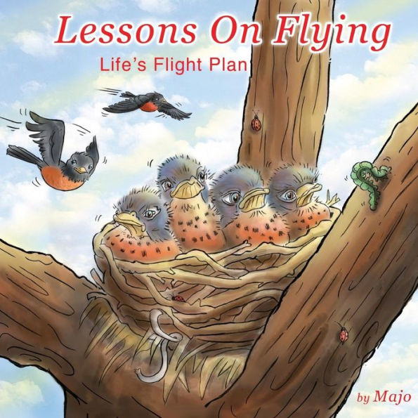 Lessons on Flying: life's flight plan