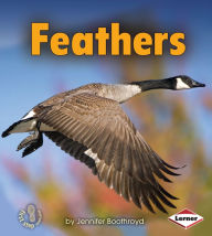Title: Feathers, Author: Jennifer Boothroyd