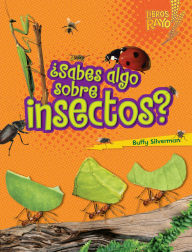 Title: ¿Sabes algo sobre insectos? (Do You Know about Insects?), Author: Buffy Silverman
