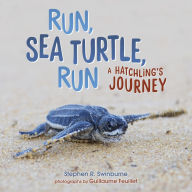 Title: Run, Sea Turtle, Run: A Hatchling's Journey, Author: Stephen R. Swinburne