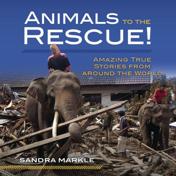 Animals to the Rescue!: Amazing True Stories from around World