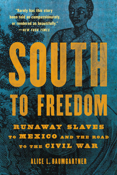 South to Freedom: Runaway Slaves Mexico and the Road Civil War