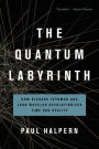 The Quantum Labyrinth: How Richard Feynman and John Wheeler Revolutionized Time and Reality