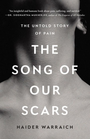 The Song of Our Scars: Untold Story Pain