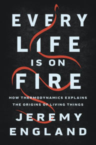 Free ebooks for ipod touch to download Every Life Is on Fire: How Thermodynamics Explains the Origins of Living Things by Jeremy England (English literature) 9781541699014