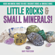 Title: Little Rocks & Small Minerals! Rocks And Mineral Books for Kids Children's Rocks & Minerals Books, Author: Baby Professor
