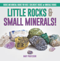 Title: Little Rocks & Small Minerals! Rocks And Mineral Books for Kids Children's Rocks & Minerals Books, Author: Baby Professor