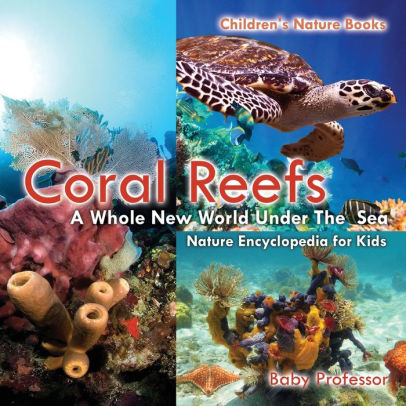Coral Reefs: A Whole New World Under The Sea - Nature Encyclopedia for ...