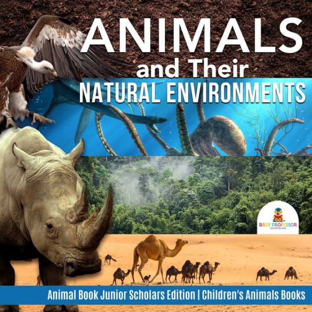 Animals and Their Natural Environments Animal Book Junior Scholars ...