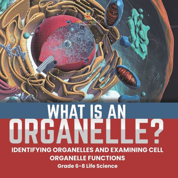 What is an Organelle? Identifying Organelles and Examining Cell Organelle Functions Grade 6-8 Life Science