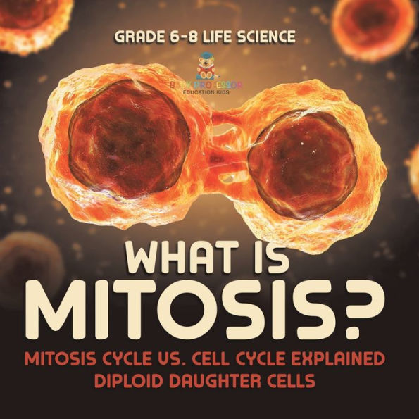 What is Mitosis? Mitosis Cycle vs. Cell Explained Diploid Daughter Cells Grade 6-8 Life Science