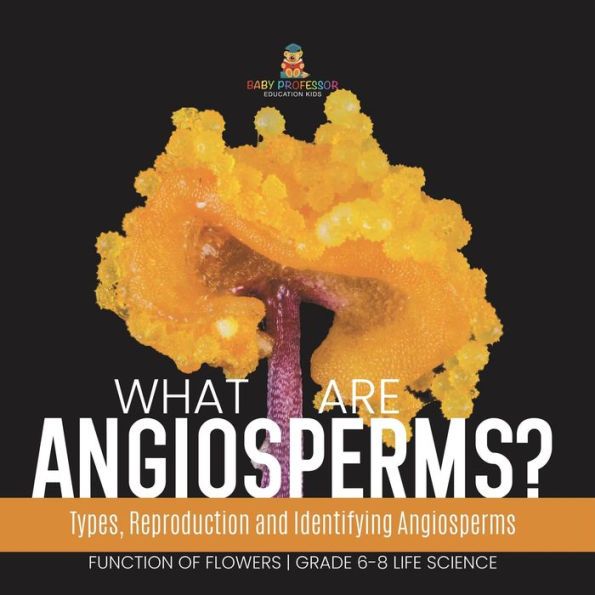 What are Angiosperms? Types, Reproduction and Identifying Angiosperms Function of Flowers Grade 6-8 Life Science