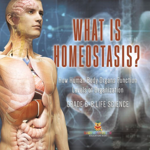 What is Homeostasis? How Human Body Organs Function Levels of Organization Grade 6-8 Life Science