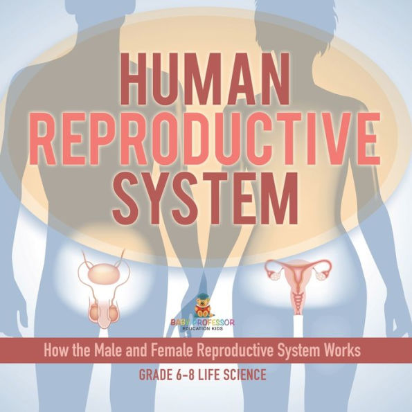 Human Reproductive System How the Male and Female Works Grade 6-8 Life Science