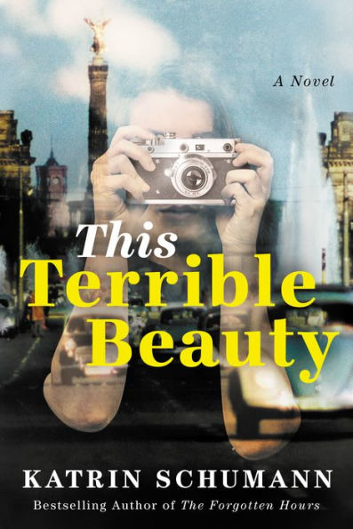 This Terrible Beauty: A Novel