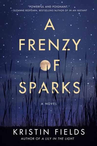 A Frenzy of Sparks: Novel