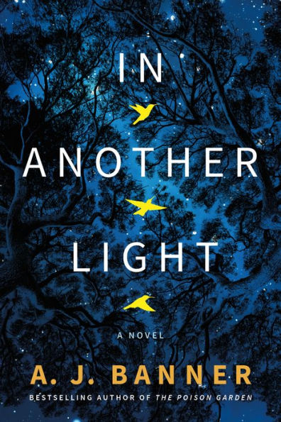 Another Light: A Novel