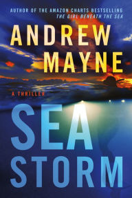 Pdf electronic books free download Sea Storm: A Thriller PDB RTF English version