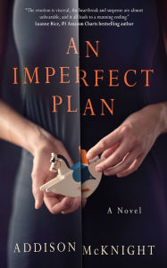 Books for free download An Imperfect Plan: A Novel by Addison McKnight English version