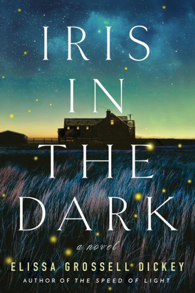 Iris in the Dark: A Novel