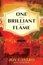 One Brilliant Flame: A Novel