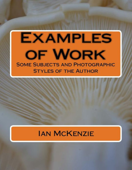 Examples of Work: Some Subjects and Photographic Styles of the Author