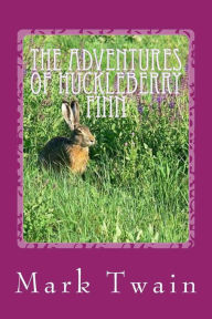 Title: The Adventures of Huckleberry Finn, Author: Mark Twain