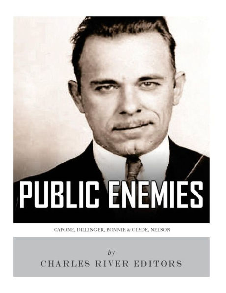 Public Enemies: Al Capone, John Dillinger, Bonnie & Clyde, and Baby Face Nelson