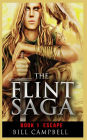 Epic Fantasy Adventure: The FLINT SAGA - Book 1 - Escape: Young Adult Fantasy