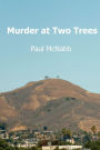 Murder at Two Trees: Michael McAllister Mystery Series Book 5