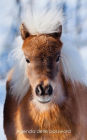Agenda delle password: Agenda degli indirizzi web e delle password di accesso - Copertina piccolo pony