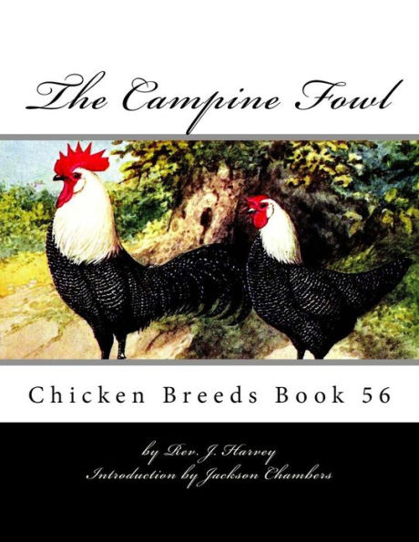 The Campine Fowl: Chicken Breeds Book 56