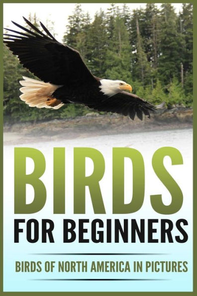 Birds for Beginners: Including 97 Birds of North America in Gorgeous Pictures