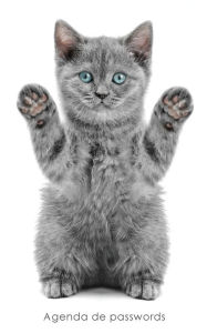 Title: Agenda de passwords: Agenda para endereï¿½os electrï¿½nicos e passwords - Capa gatinho brincalhï¿½o, Author: Coisas Realmente ïteis