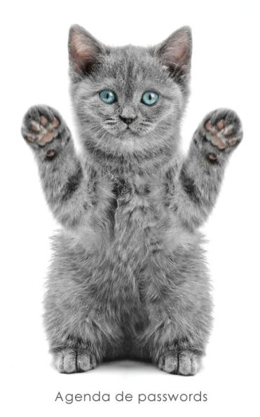 Agenda de passwords: Agenda para endereï¿½os electrï¿½nicos e passwords - Capa gatinho brincalhï¿½o
