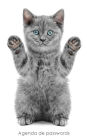 Agenda de passwords: Agenda para endereï¿½os electrï¿½nicos e passwords - Capa gatinho brincalhï¿½o