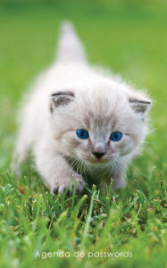 Title: Agenda de passwords: Agenda para endereï¿½os electrï¿½nicos e passwords - Capa gatinho de olhos azuis, Author: Coisas Realmente ïteis