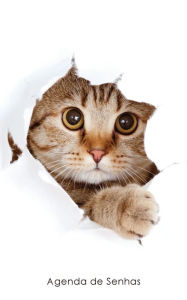 Title: Agenda de Senhas: Agenda para endereÃ¯Â¿Â½os eletrÃ¯Â¿Â½nicos e senhas: Capa gato peekaboo - PortuguÃ¯Â¿Â½s (Brasil), Author: Agendas E Cadernos