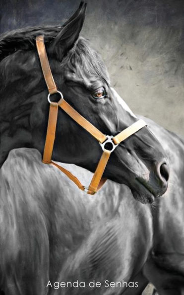 Agenda de Senhas: Agenda para endereï¿½os eletrï¿½nicos e senhas: Capa cavalo preto - Portuguï¿½s (Brasil)