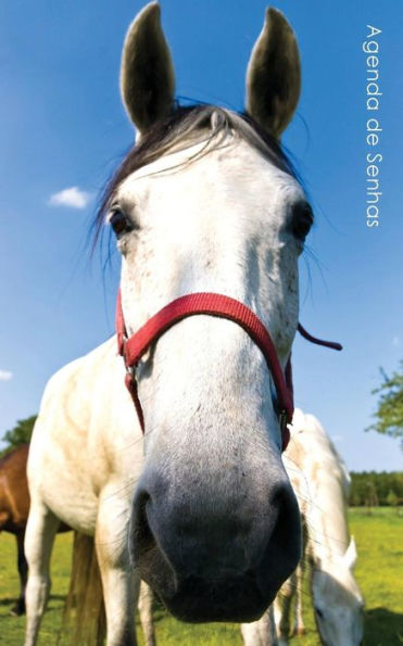 Agenda de Senhas: Agenda para endereï¿½os eletrï¿½nicos e senhas: Capa cavalo curioso - Portuguï¿½s (Brasil)