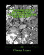 ***A SUDOKU PUZZLE 400 Challenging Puzzles with Answers Volume 07-08***: ***A SUDOKU PUZZLE 400 Challenging Puzzles with Answers Volume 07-08***