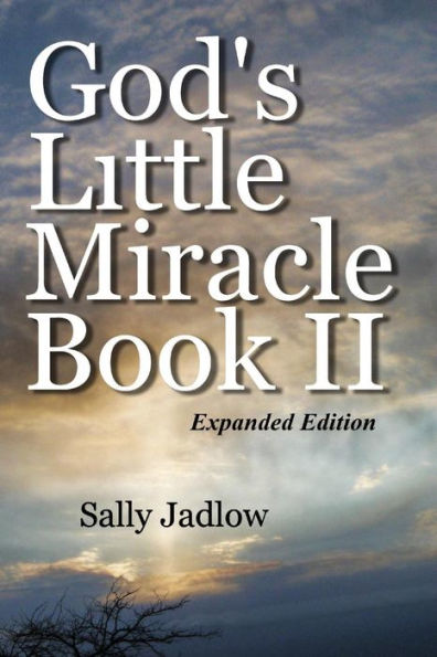 God's Little Miracle Book II