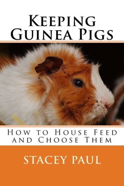 Keeping Guinea Pigs: How to House Feed and Choose Them