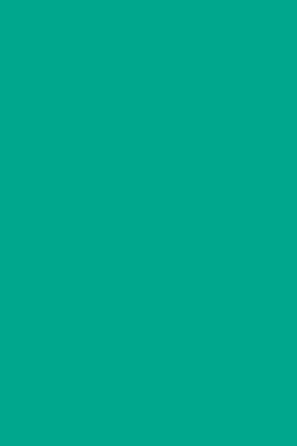 Journal Emerald Green Color Simple Plain Notebook Journal Emerald Green Color Simple Plain Notebook Diary Blank Book