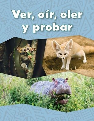 Ver, oír, oler y probar