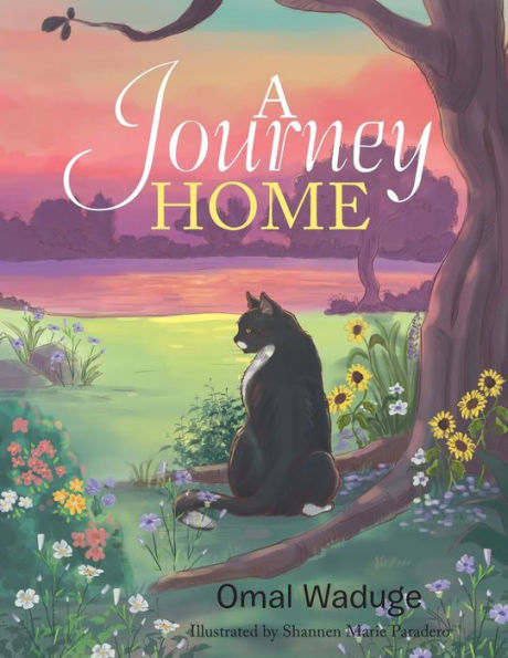 a journey home book