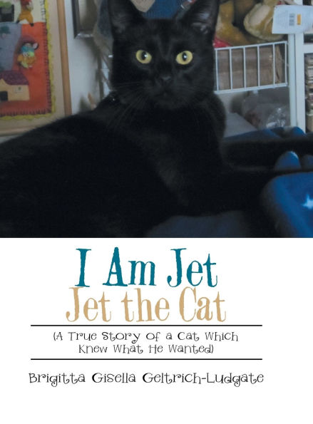 I Am Jet Jet the Cat: (A True Story of a Cat Which Knew What He Wanted)