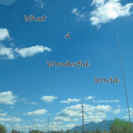 Title: What a Wonderful World, Author: Janet Wolfe