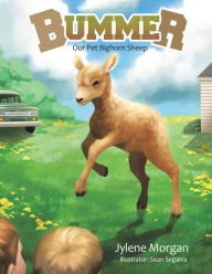 Title: Bummer: Our Pet Bighorn Sheep, Author: Jylene Morgan