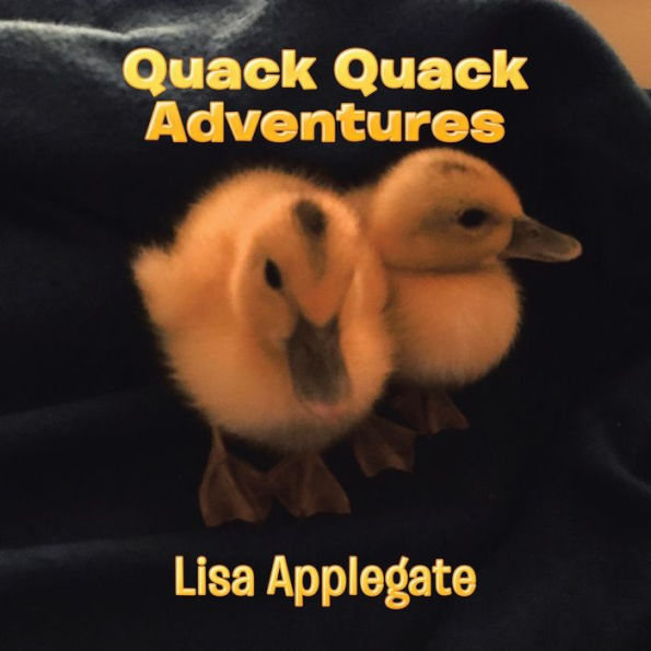 Quack Adventures